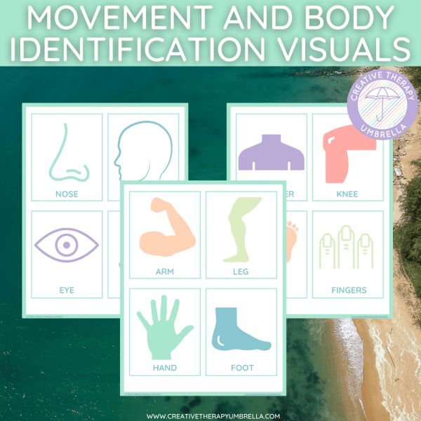 Body Identification & Movement Visuals